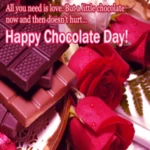 chocolate day: greeting, photo frames, gif,quotes android application logo